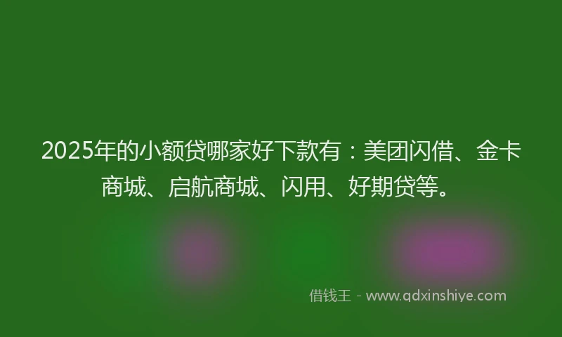 2025年的小额贷哪家好下款有：美团闪借、金卡商城、启航商城、闪用、好期贷等。