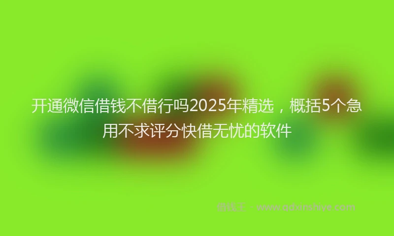 开通微信借钱不借行吗2025年精选，概括5个急用不求评分快借无忧的软件