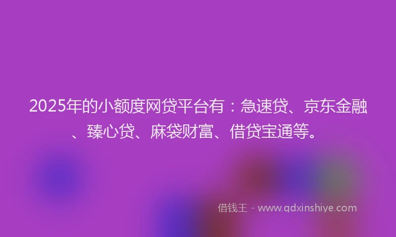 2025年的小额度网贷平台有：急速贷、京东金融、臻心贷、麻袋财富、借贷宝通等。