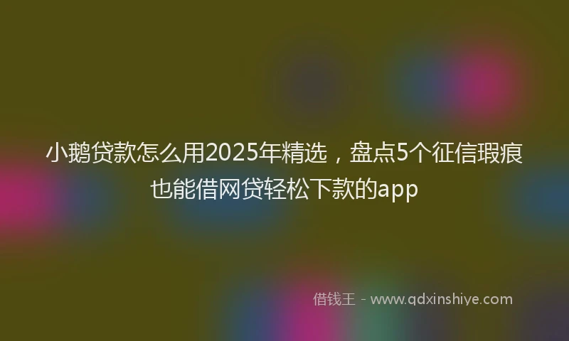小鹅贷款怎么用2025年精选，盘点5个征信瑕疵也能借网贷轻松下款的app
