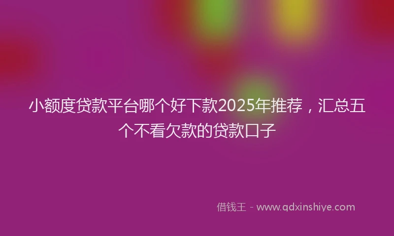 小额度贷款平台哪个好下款2025年推荐，汇总五个不看欠款的贷款口子