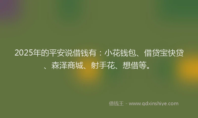 2025年的平安说借钱有：小花钱包、借贷宝快贷、森泽商城、射手花、想借等。