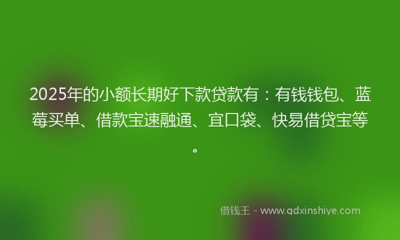 2025年的小额长期好下款贷款有：有钱钱包、蓝莓买单、借款宝速融通、宜口袋、快易借贷宝等。