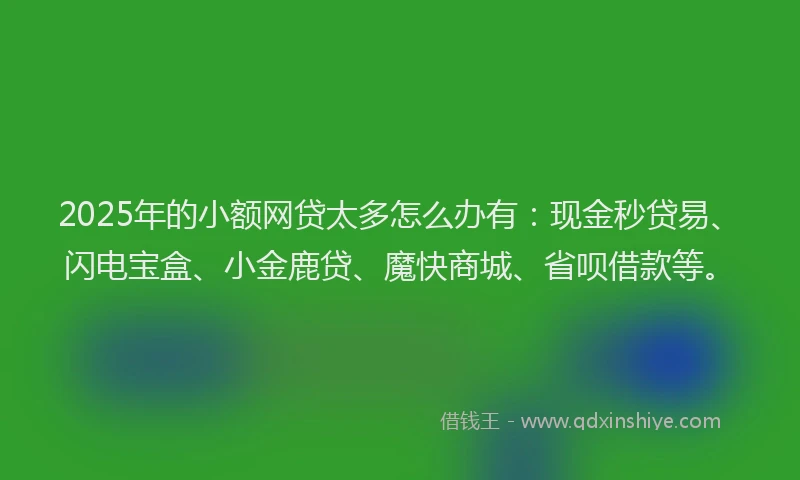 2025年的小额网贷太多怎么办有：现金秒贷易、闪电宝盒、小金鹿贷、魔快商城、省呗借款等。