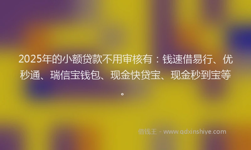 2025年的小额贷款不用审核有：钱速借易行、优秒通、瑞信宝钱包、现金快贷宝、现金秒到宝等。