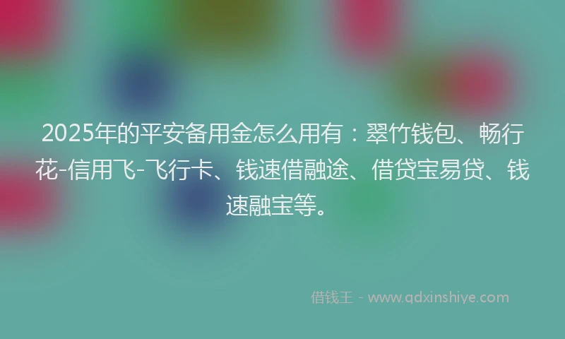 2025年的平安备用金怎么用有：翠竹钱包、畅行花-信用飞-飞行卡、钱速借融途、借贷宝易贷、钱速融宝等。