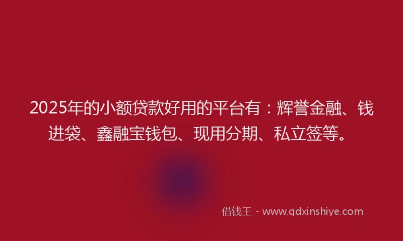 2025年的小额贷款好用的平台有：辉誉金融、钱进袋、鑫融宝钱包、现用分期、私立签等。