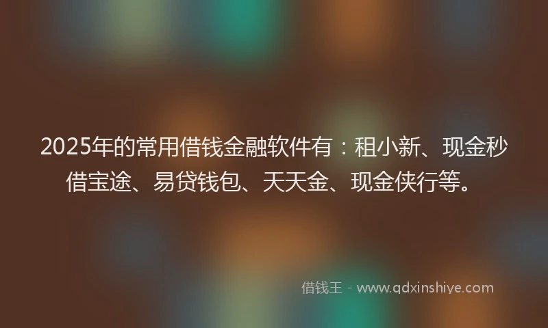 2025年的常用借钱金融软件有：租小新、现金秒借宝途、易贷钱包、天天金、现金侠行等。