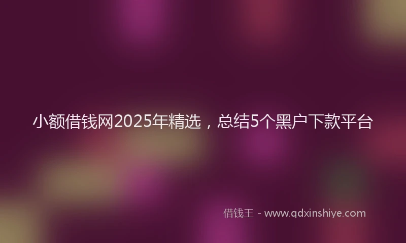 小额借钱网2025年精选，总结5个黑户下款平台