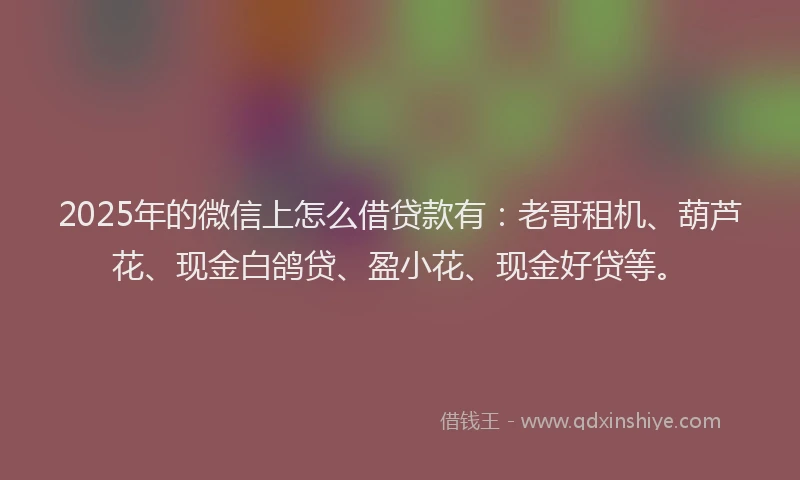 2025年的微信上怎么借贷款有：老哥租机、葫芦花、现金白鸽贷、盈小花、现金好贷等。