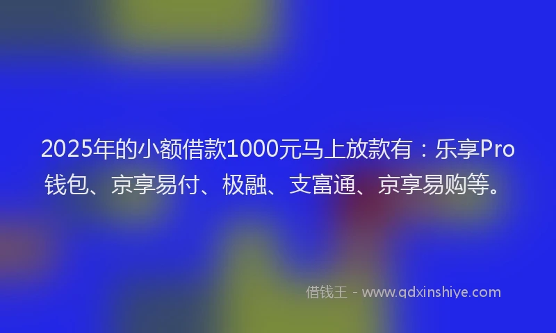 2025年的小额借款1000元马上放款有：乐享Pro钱包、京享易付、极融、支富通、京享易购等。
