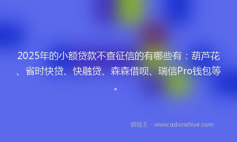 2025年的小额贷款不查征信的有哪些有：葫芦花、省时快贷、快融贷、森森借呗、瑞信Pro钱包等。
