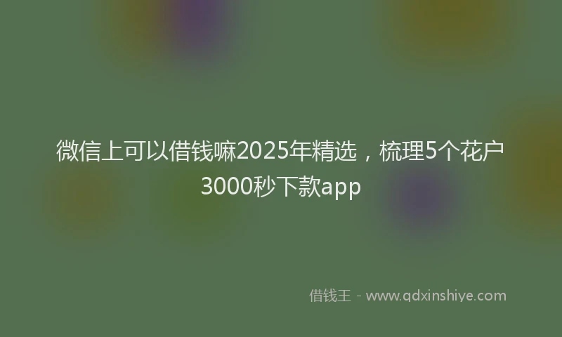 微信上可以借钱嘛2025年精选，梳理5个花户3000秒下款app