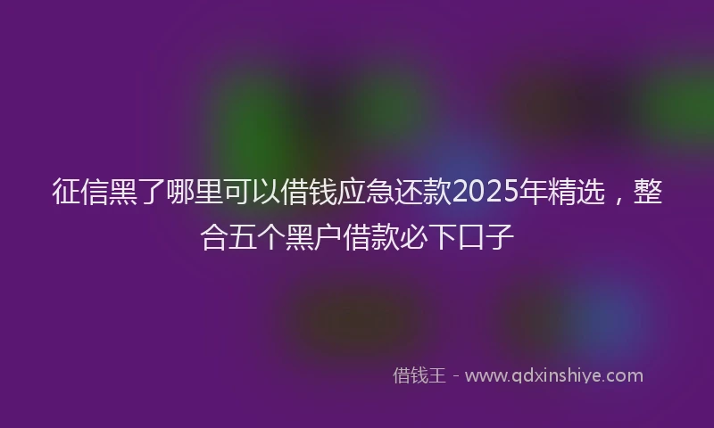 征信黑了哪里可以借钱应急还款2025年精选，整合五个黑户借款必下口子