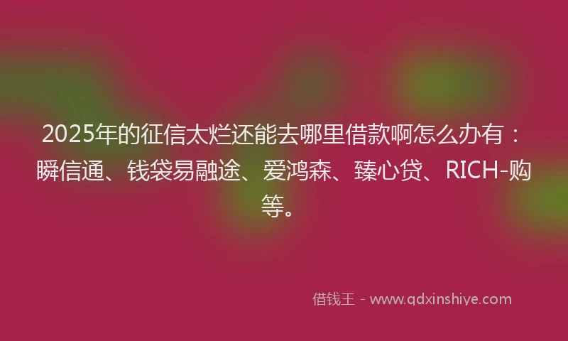 2025年的征信太烂还能去哪里借款啊怎么办有：瞬信通、钱袋易融途、爱鸿森、臻心贷、RICH-购等。
