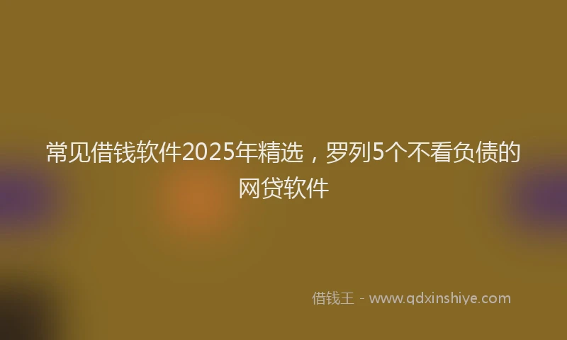 常见借钱软件2025年精选，罗列5个不看负债的网贷软件