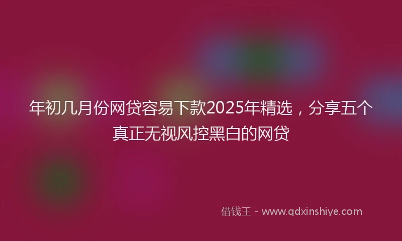 年初几月份网贷容易下款2025年精选，分享五个真正无视风控黑白的网贷