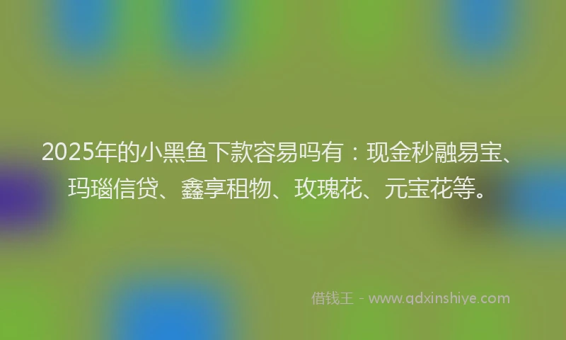 2025年的小黑鱼下款容易吗有：现金秒融易宝、玛瑙信贷、鑫享租物、玫瑰花、元宝花等。