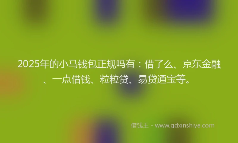 2025年的小马钱包正规吗有：借了么、京东金融、一点借钱、粒粒贷、易贷通宝等。