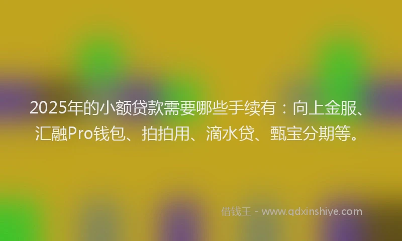 2025年的小额贷款需要哪些手续有：向上金服、汇融Pro钱包、拍拍用、滴水贷、甄宝分期等。