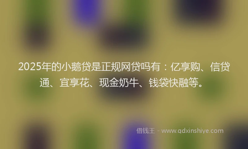 2025年的小鹅贷是正规网贷吗有：亿享购、信贷通、宜享花、现金奶牛、钱袋快融等。