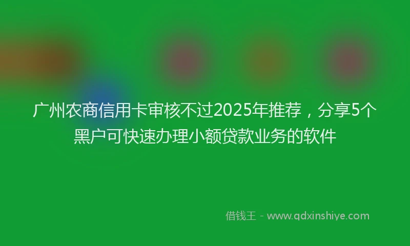 广州农商信用卡审核不过2025年推荐，分享5个黑户可快速办理小额贷款业务的软件