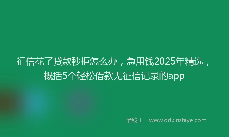 征信花了贷款秒拒怎么办，急用钱2025年精选，概括5个轻松借款无征信记录的app