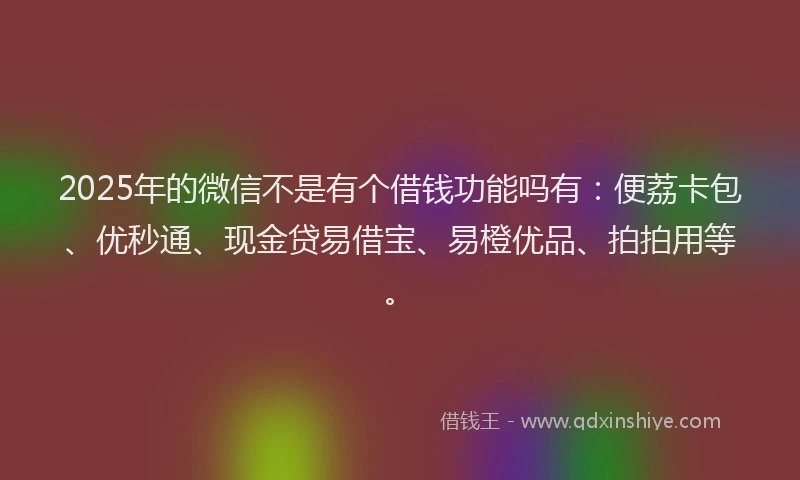 2025年的微信不是有个借钱功能吗有：便荔卡包、优秒通、现金贷易借宝、易橙优品、拍拍用等。