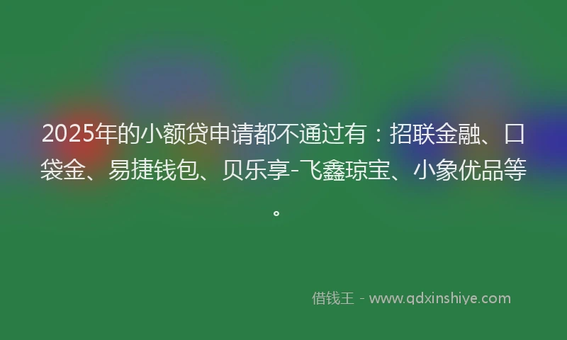 2025年的小额贷申请都不通过有：招联金融、口袋金、易捷钱包、贝乐享-飞鑫琼宝、小象优品等。