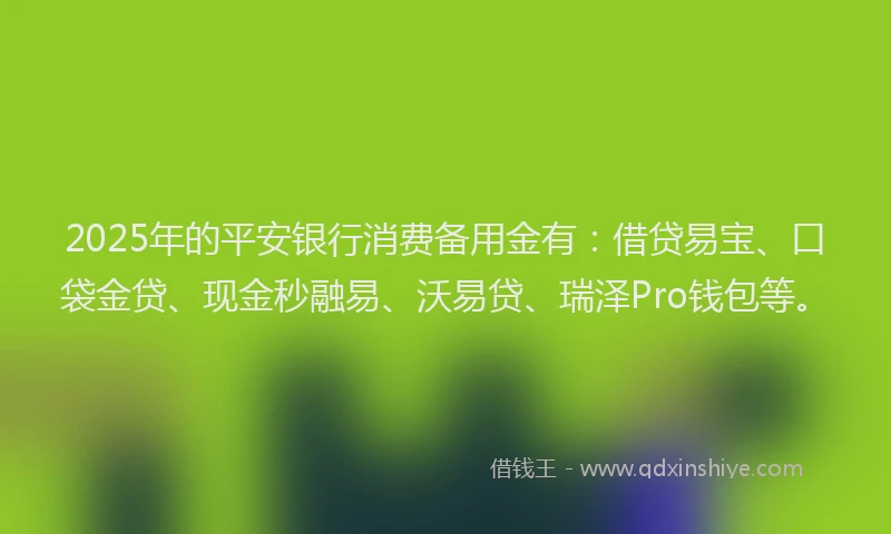 2025年的平安银行消费备用金有：借贷易宝、口袋金贷、现金秒融易、沃易贷、瑞泽Pro钱包等。
