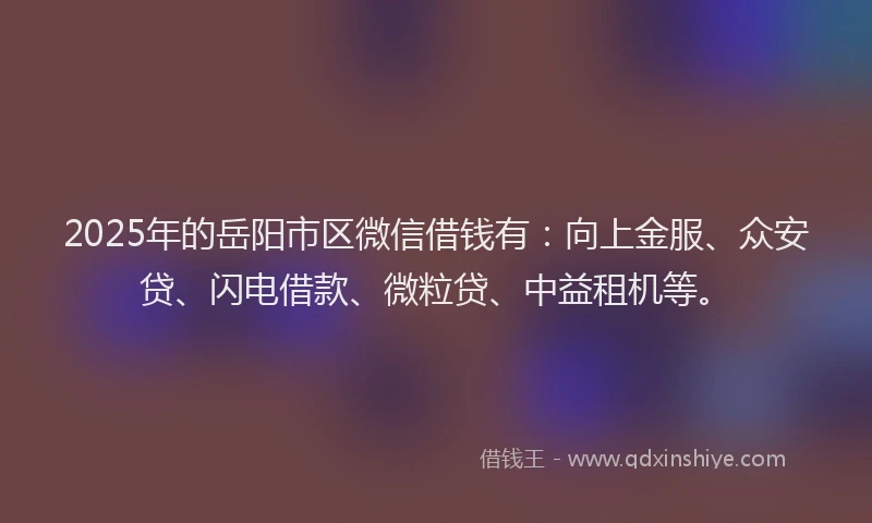 2025年的岳阳市区微信借钱有：向上金服、众安贷、闪电借款、微粒贷、中益租机等。