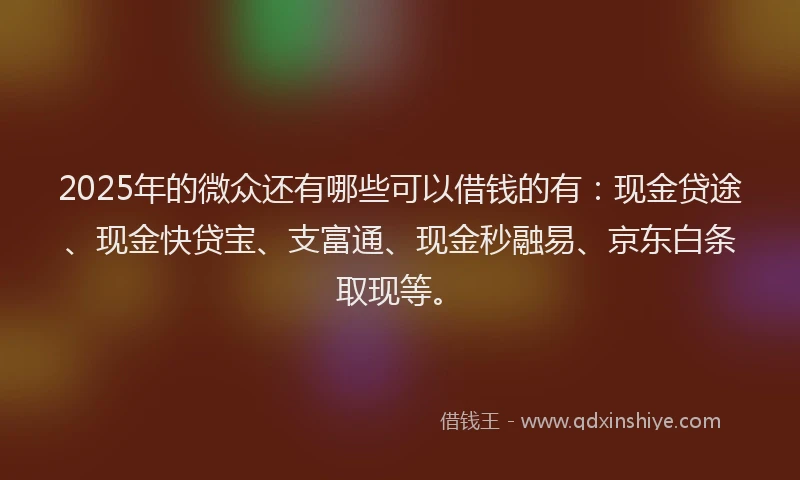 2025年的微众还有哪些可以借钱的有：现金贷途、现金快贷宝、支富通、现金秒融易、京东白条取现等。