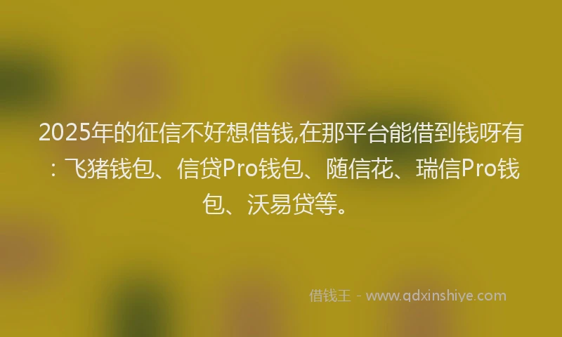 2025年的征信不好想借钱,在那平台能借到钱呀有：飞猪钱包、信贷Pro钱包、随信花、瑞信Pro钱包、沃易贷等。