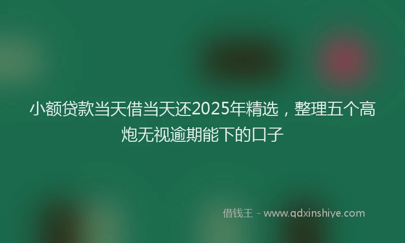 小额贷款当天借当天还2025年精选，整理五个高炮无视逾期能下的口子