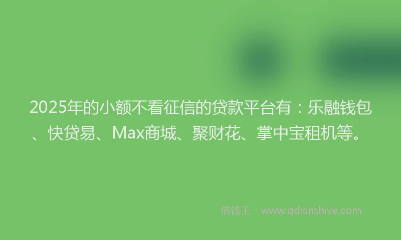2025年的小额不看征信的贷款平台有：乐融钱包、快贷易、Max商城、聚财花、掌中宝租机等。