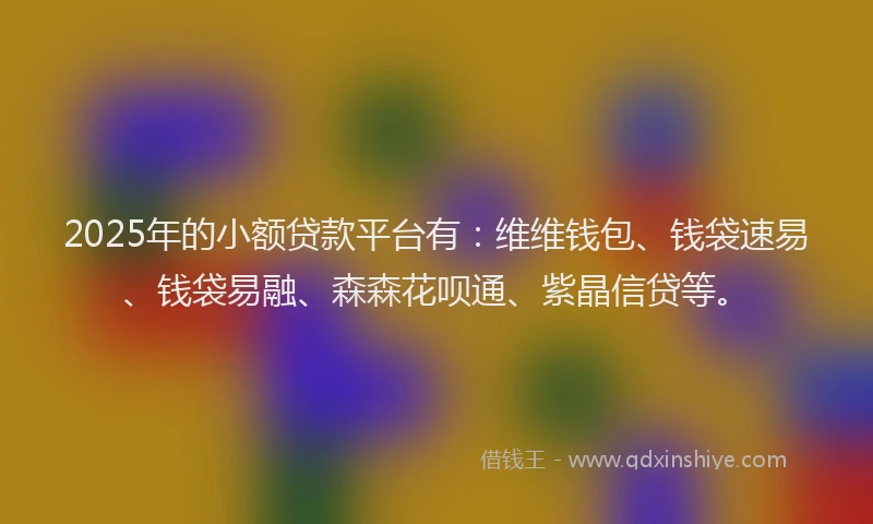2025年的小额贷款平台有：维维钱包、钱袋速易、钱袋易融、森森花呗通、紫晶信贷等。