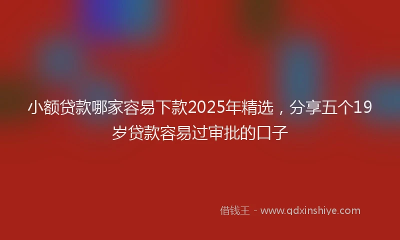 小额贷款哪家容易下款2025年精选，分享五个19岁贷款容易过审批的口子