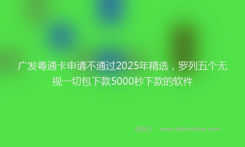 广发粤通卡申请不通过2025年精选，罗列五个无视一切包下款5000秒下款的软件