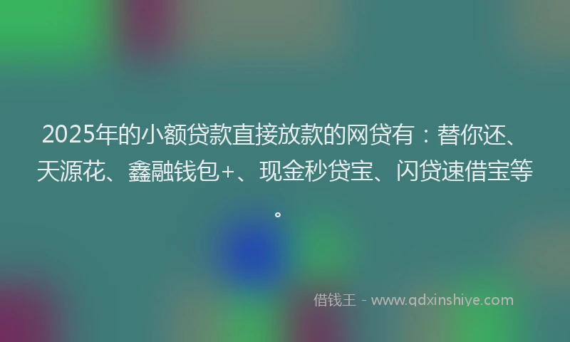2025年的小额贷款直接放款的网贷有：替你还、天源花、鑫融钱包+、现金秒贷宝、闪贷速借宝等。
