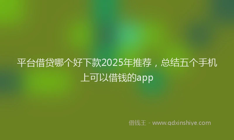 平台借贷哪个好下款2025年推荐，总结五个手机上可以借钱的app
