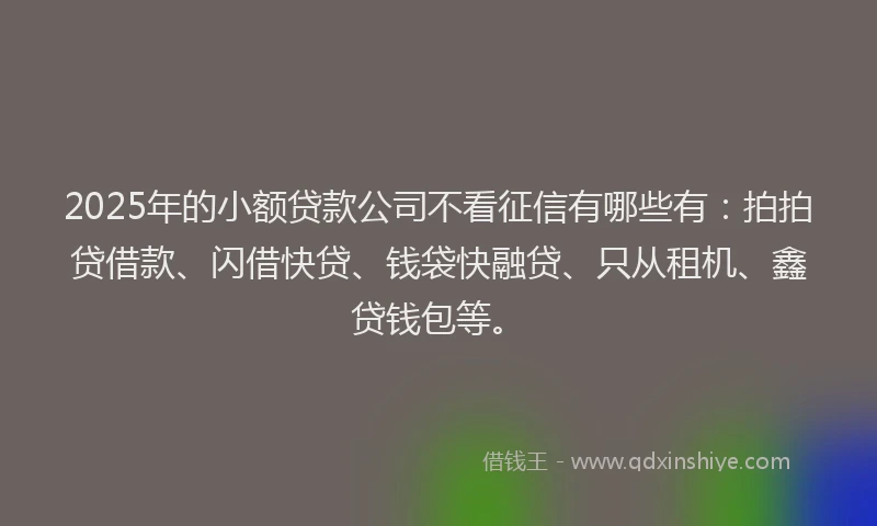 2025年的小额贷款公司不看征信有哪些有：拍拍贷借款、闪借快贷、钱袋快融贷、只从租机、鑫贷钱包等。