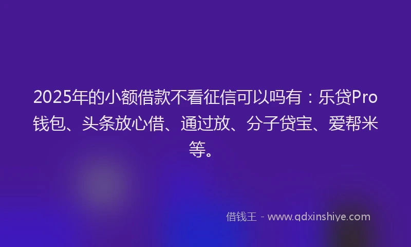 2025年的小额借款不看征信可以吗有：乐贷Pro钱包、头条放心借、通过放、分子贷宝、爱帮米等。