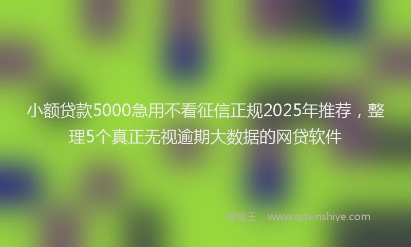 小额贷款5000急用不看征信正规2025年推荐，整理5个真正无视逾期大数据的网贷软件