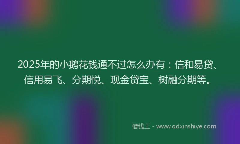 2025年的小鹅花钱通不过怎么办有：信和易贷、信用易飞、分期悦、现金贷宝、树融分期等。