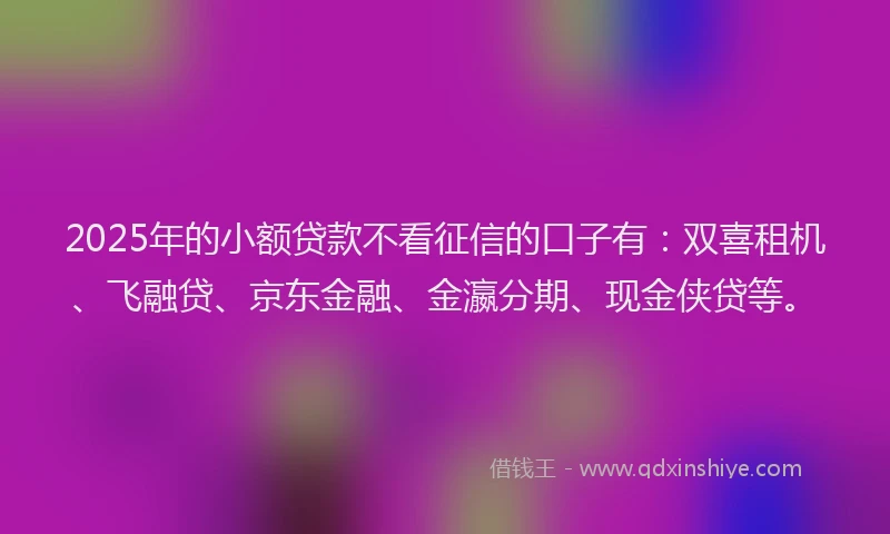 2025年的小额贷款不看征信的口子有：双喜租机、飞融贷、京东金融、金瀛分期、现金侠贷等。