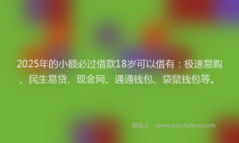 2025年的小额必过借款18岁可以借有：极速易购、民生易贷、现金网、通通钱包、袋鼠钱包等。