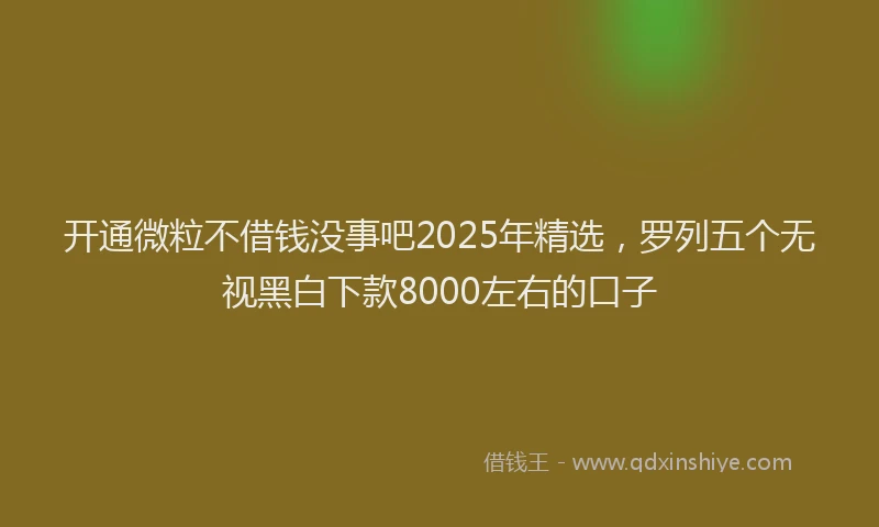 开通微粒不借钱没事吧2025年精选，罗列五个无视黑白下款8000左右的口子