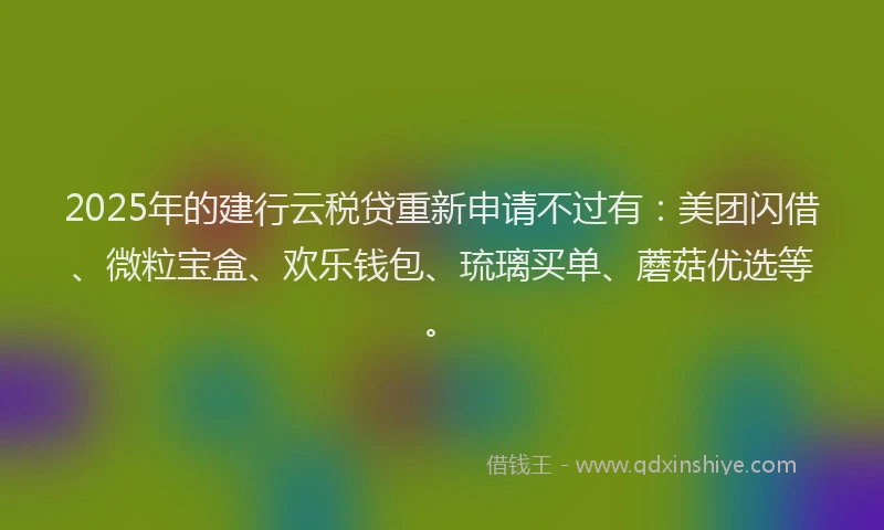 2025年的建行云税贷重新申请不过有：美团闪借、微粒宝盒、欢乐钱包、琉璃买单、蘑菇优选等。