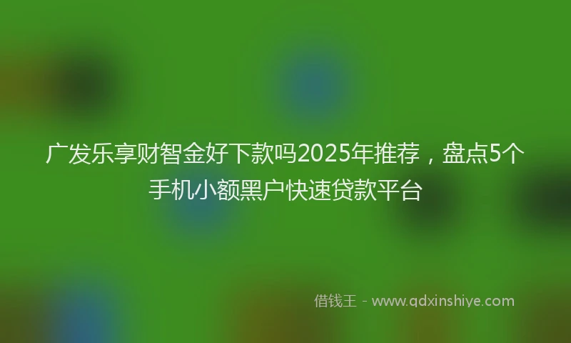 广发乐享财智金好下款吗2025年推荐，盘点5个手机小额黑户快速贷款平台