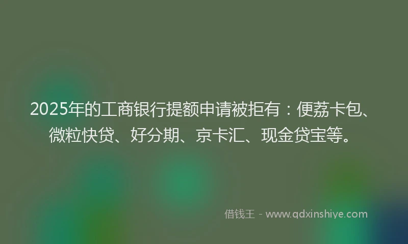 2025年的工商银行提额申请被拒有：便荔卡包、微粒快贷、好分期、京卡汇、现金贷宝等。